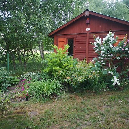 Domki Domek Na Jeziorem Wilczynskim Budzislawskim , Las, Osobno Ogrodzony 2-6 Osob- Klimatyzacja, Ogrzewanie, 62-550 Zygmuntowo Gm Wilczyn 外观 照片