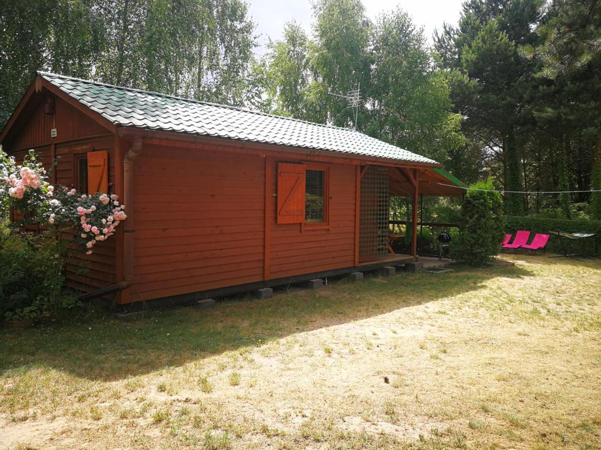 Domki Domek Na Jeziorem Wilczynskim Budzislawskim , Las, Osobno Ogrodzony 2-6 Osob- Klimatyzacja, Ogrzewanie, 62-550 Zygmuntowo Gm Wilczyn 外观 照片