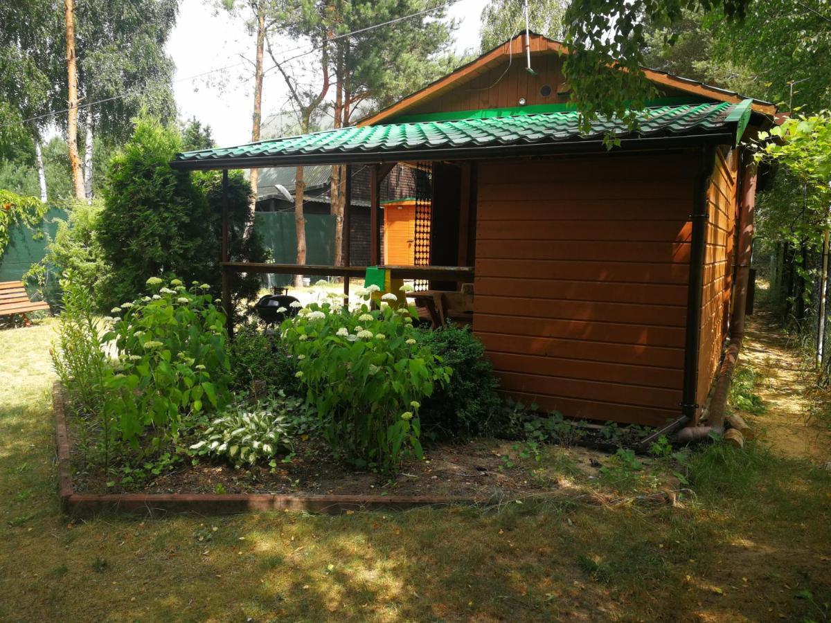 Domki Domek Na Jeziorem Wilczynskim Budzislawskim , Las, Osobno Ogrodzony 2-6 Osob- Klimatyzacja, Ogrzewanie, 62-550 Zygmuntowo Gm Wilczyn 外观 照片