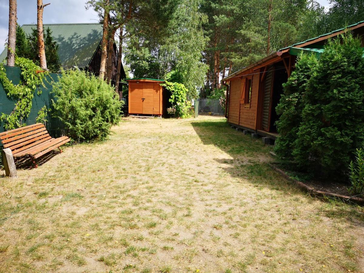 Domki Domek Na Jeziorem Wilczynskim Budzislawskim , Las, Osobno Ogrodzony 2-6 Osob- Klimatyzacja, Ogrzewanie, 62-550 Zygmuntowo Gm Wilczyn 外观 照片