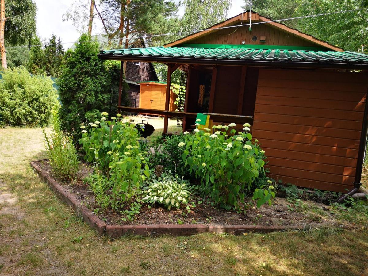 Domki Domek Na Jeziorem Wilczynskim Budzislawskim , Las, Osobno Ogrodzony 2-6 Osob- Klimatyzacja, Ogrzewanie, 62-550 Zygmuntowo Gm Wilczyn 外观 照片