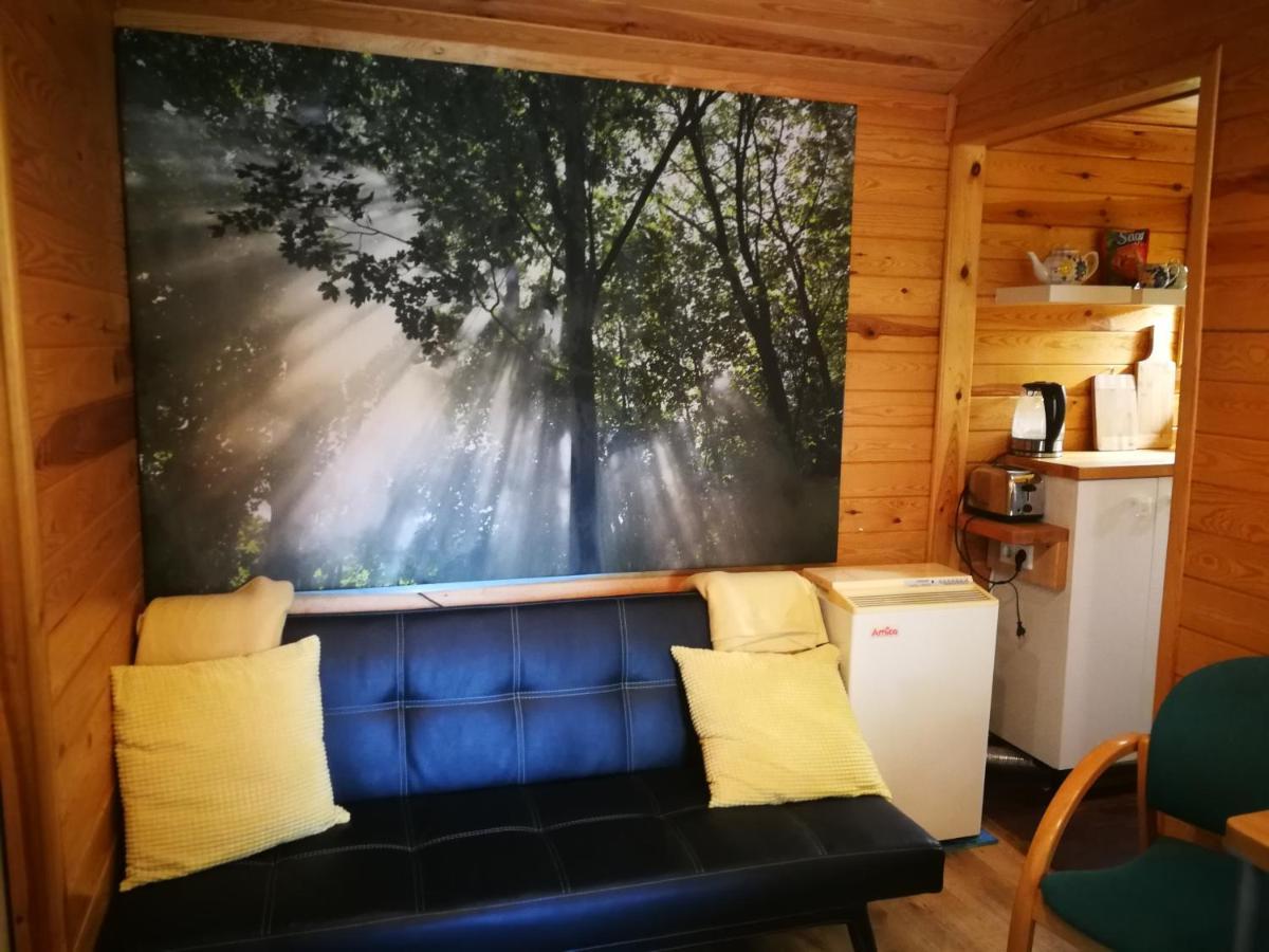 Domki Domek Na Jeziorem Wilczynskim Budzislawskim , Las, Osobno Ogrodzony 2-6 Osob- Klimatyzacja, Ogrzewanie, 62-550 Zygmuntowo Gm Wilczyn 外观 照片